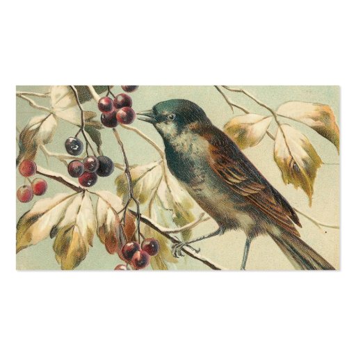 Vintage Bird and Berries Business Cards (back side)