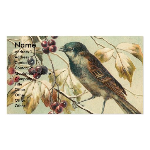 Vintage Bird and Berries Business Cards (front side)