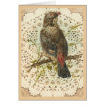 Vintage Bird and Doilie Greeting Card