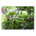 Vintage Bird Cage Garden cards