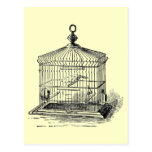 Vintage Bird Cage Post Cards