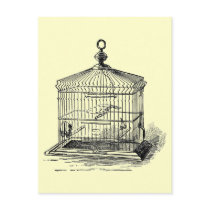Vintage Bird Cage Post Cards
