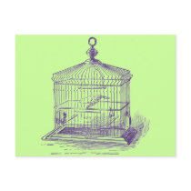 Vintage Bird Cage Postcards