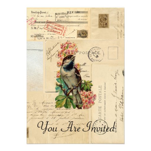 Vintage Bird Flowers French Postcards Invitation