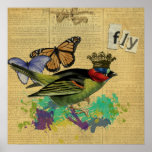 Vintage Bird Illustration Collage Poster
