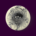 Vintage Bird Nest Illustration