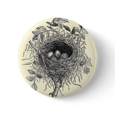 Vintage Bird Nest Illustration Buttons by mosswood