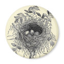 Vintage Bird Nest Illustration magnets