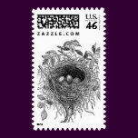 Vintage Bird Nest Illustration