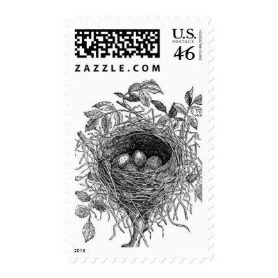 Vintage Bird Nest Illustration Stamps by mosswood