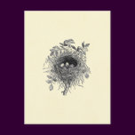 Vintage Bird Nest Illustration