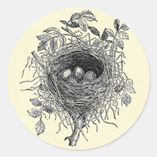 Vintage Bird Nest Illustration Round Stickers