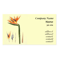 Vintage bird of paradise flower business card template