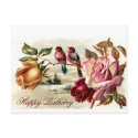 Vintage Bird Roses Birthday Postcard by forbes1954 Vintage Bird Roses Birthday Postcard