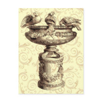 Vintage Birdbath Postcards