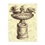 Vintage Birdbath postcards
