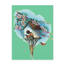 Vintage Birdhouse Postcard