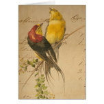 Vintage Birds and Ledger Paper Cards