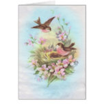 Vintage Birds Greeting Cards