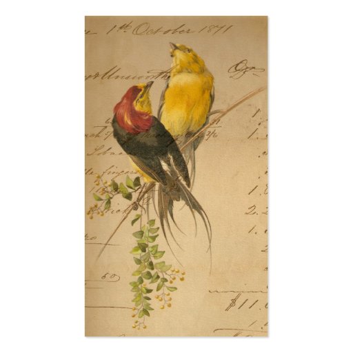 Vintage Birds of Paradise Business Card Templates (back side)