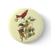Vintage Birds On Berry Vine buttons by chysshirts Vintage Birds On Berry Vine buttons