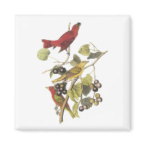 Vintage Birds On Berry Vine magnets by chysshirts Vintage Birds On Berry Vine magnets