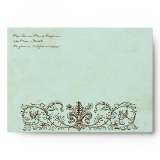 Vintage Birds Robin's Egg Blue, Wedding Envelopes envelope
