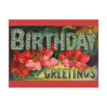 Vintage Birthday Postcard