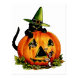 Vintage Black Cat and Pumpkin Postcard