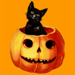 Vintage Black Cat and Pumpkin Shirt