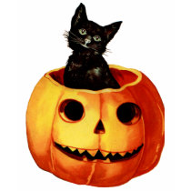 Vintage Black Cat and Pumpkin Shirt