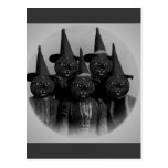 Vintage Black Cat/Witches Postcard