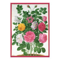 Vintage Blooming Flowers, Spring Garden Roses Announcement