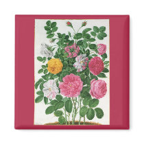 Vintage Blooming Flowers, Spring Garden Roses Magnet