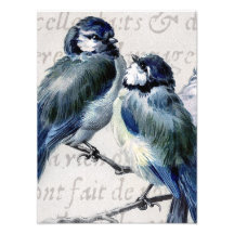 Vintage Blue Birds Collage - Customized Bluebirds Photo