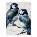 Vintage Blue Birds Collage - Customized Bluebirds Postcard
