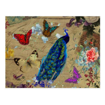 Vintage Blue Colorful Peacock Cute Butterfly Post Cards