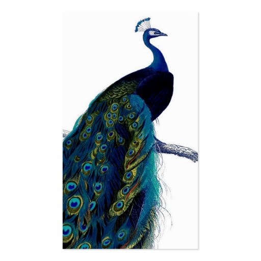 Vintage Blue Elegant Colorful Peacock Business Card Template (front side)