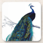 Vintage Blue Elegant Colorful Peacock Coaster