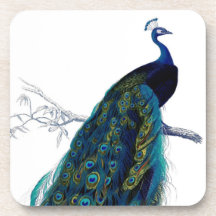 Vintage Blue Elegant Colorful Peacock Coaster