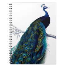 Vintage Blue Elegant Colorful Peacock Spiral Notebooks