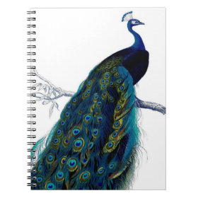 Vintage Blue Elegant Colorful Peacock Spiral Notebooks