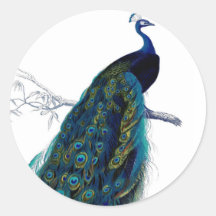 Vintage Blue Elegant Colorful Peacock Round Stickers