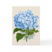Vintage Blue Hydrangea Greeting Card