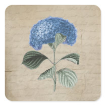 Vintage Blue Hydrangea on Old Paper Round Stickers
