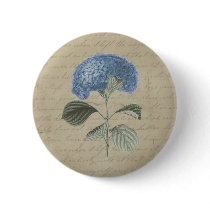 Vintage Blue Hydrangea with Antique Calligraphy Pinback Button