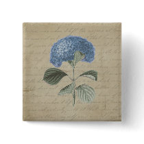 Vintage Blue Hydrangea with Antique Calligraphy Pinback Button