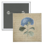 Vintage Blue Hydrangea with Antique Calligraphy Pinback Button