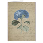 Vintage Blue Hydrangea with Antique Calligraphy Greeting Card