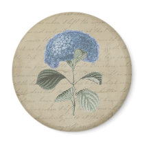 Vintage Blue Hydrangea with Antique Calligraphy Magnets